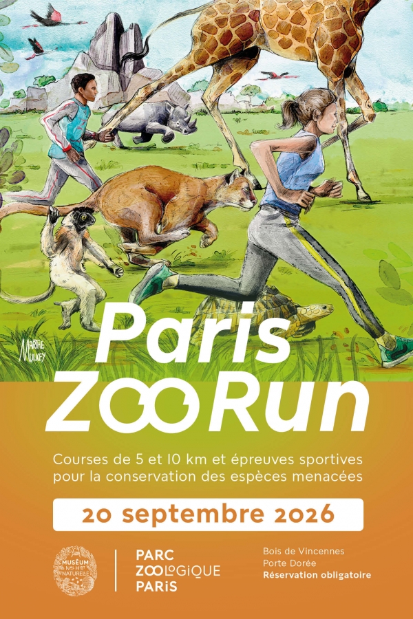 Paris Zoo Run